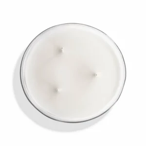 Chambre des Lords  | Large scented candle^Mizensir Parfums Clearance