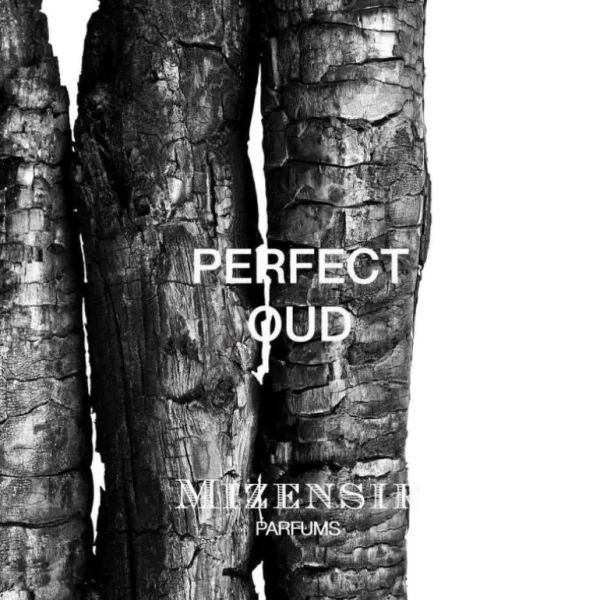 PERFECT OUD | Eau de parfum^Mizensir Parfums Outlet